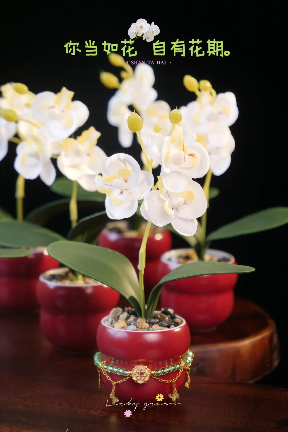 蝴蝶兰葫芦杯永生花